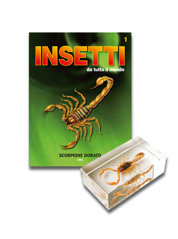 Scorpione dorato