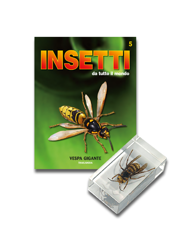 VESPA GIGANTE